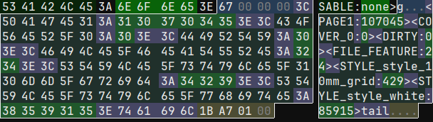 collection of key-value pairs, such as "PAGE1: 107045", "FILE_FEATURE: 24", etc.