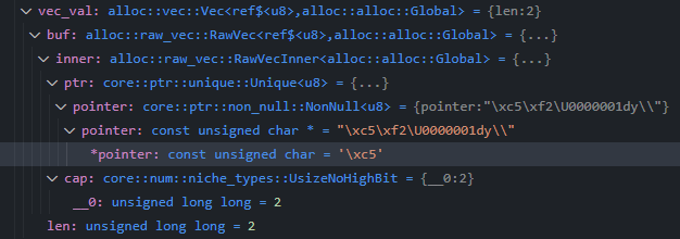 VSCode debugger pane output of the raw vec internals